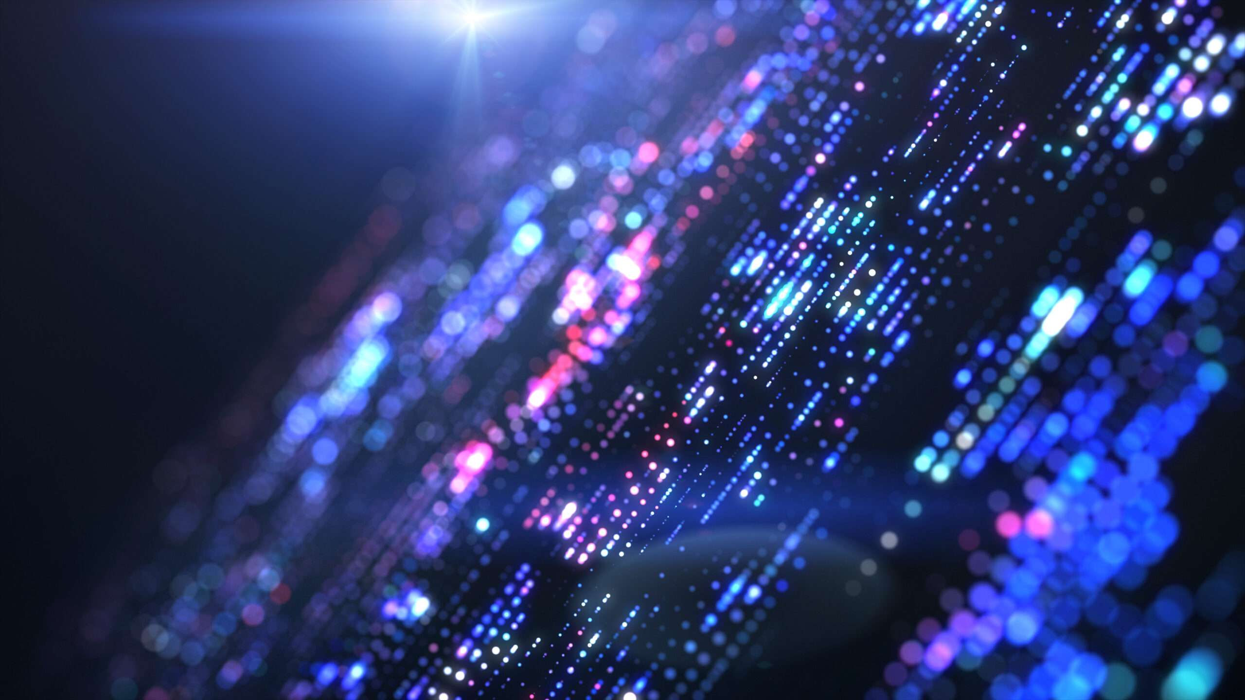 MIM International Week