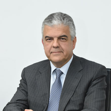 Luigi Ferraris, AD e DG Terna